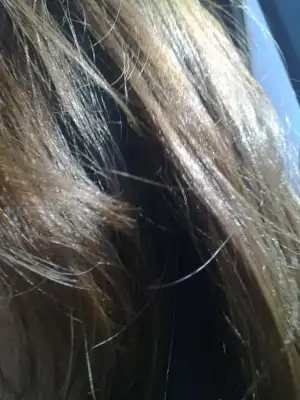 $16022011541.webp