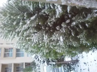 $2013-12-11 07 30 05.webp