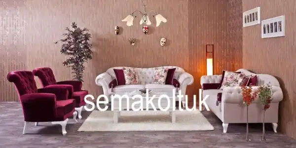 $koltuk_tak&#305;m&#305;.webp
