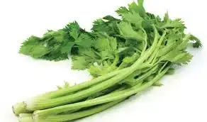 $image.webp $image.webp