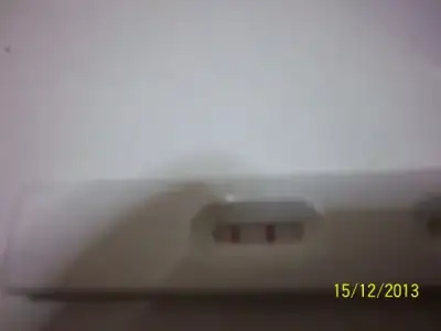 $100_3870 (600 x 450).webp