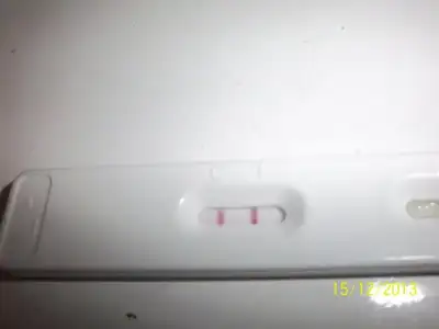 $100_3871 (1320 x 990).webp