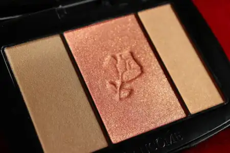 $Lancome%u00252BBlush%u00252BSubtil%u00252BNectar%u00252BLace.webp $Lancome%u00252BBlush%u00252BSubtil%u00252BNectar%u00252BLace.webp