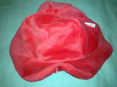 $30112013568.webp