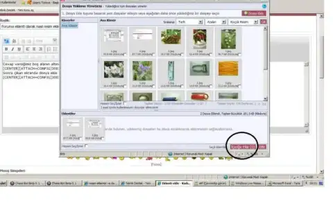 $1 (3).webp