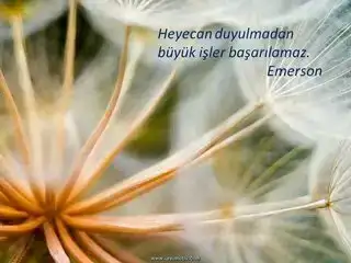 $img-motivasyonsozlerigelisimvideolari-914.webp