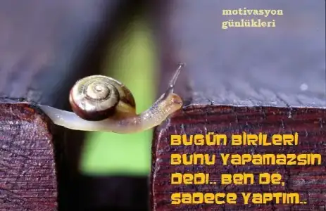 $motivasyon_gunlukleri.webp