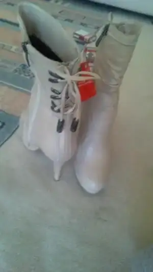 $13120070.webp