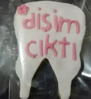$di&#351;im c&#305;kt&#305;..webp