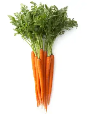 $carrots-pf-lg.webp