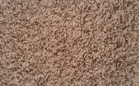 $carpet_extrapoint_700.webp