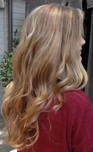 $subtle-blonde-highlights.webp