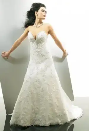 $s1086937635_30304544_2909.webp