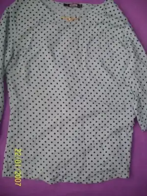 $103_0316.webp
