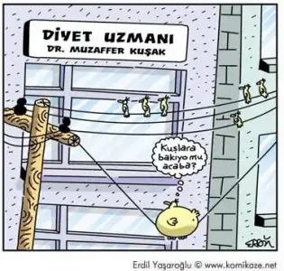 $diyetuzman.webp