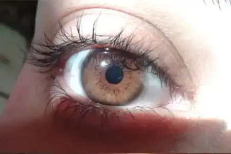 $2013-05-25 19.03.12.webp