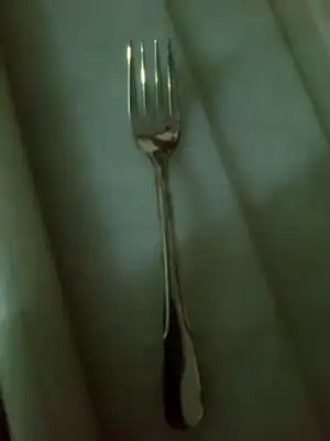 $FotoÃ°raf0575.webp