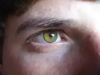 $hÃ½drocharm verde1.webp