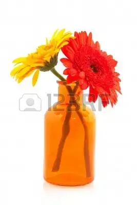 $7828686-yellow-and-orange-gerber-flower-in-glass-vase.webp