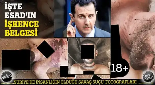 $700x126287_esad_1.webp $700x126287_esad_1.webp