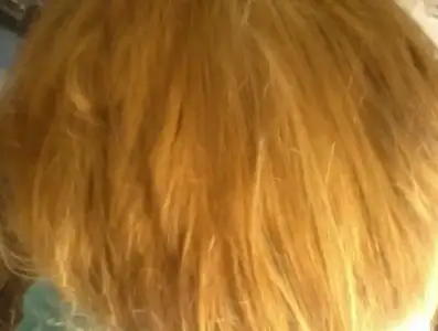 $FotoÃ°raf2342.webp
