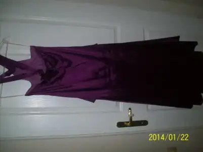 $100_2624.webp