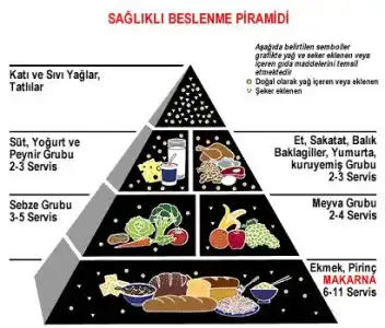 $sagliklibeslenmepiramid.webp