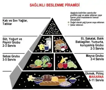 $sagliklibeslen.webp