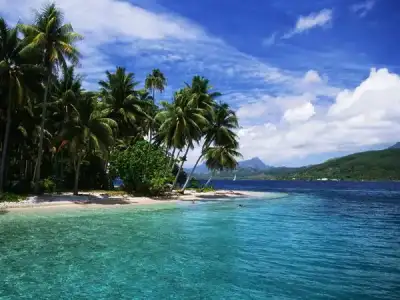 $tonga_3205_600x450.webp