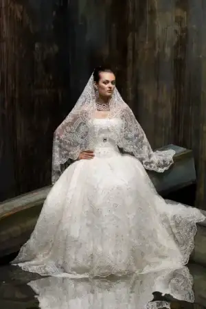$Z268_Veil.webp