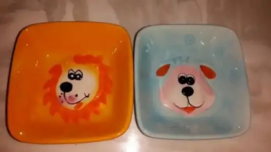 $2li Ã§erez tabaklarÃ½m2.webp