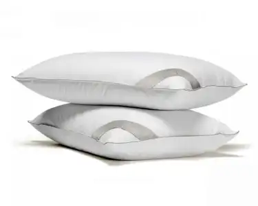 $PENELOPE PAL&#304;A YASTIK 2 TANE.webp