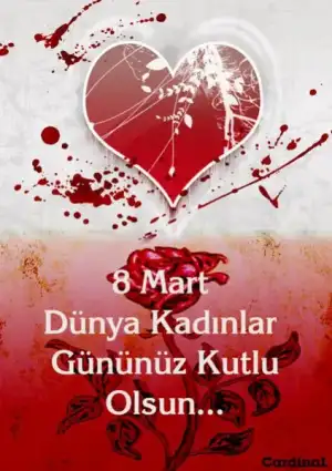 $8_mart_dunya_kadinlar_gunu.webp
