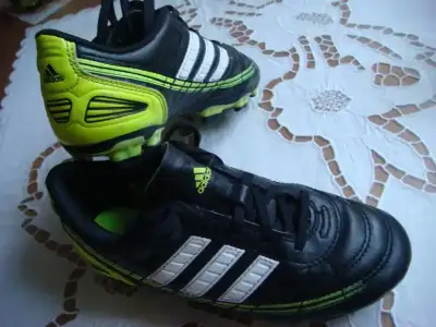 $DSC08568.webp $DSC08568.webp