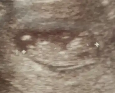 $2014-02-08 15.01.55.webp