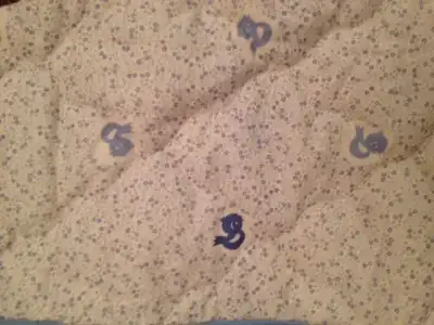 $fotoÃ°raf 33.webp