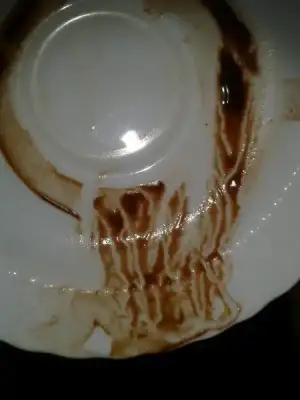 $2014-02-09 15.25.49.webp