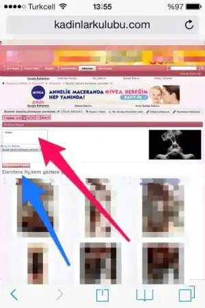 $56565.webp