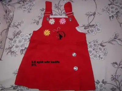 $100_6784.webp