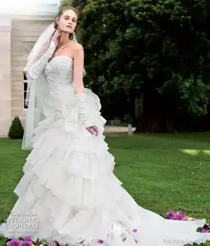 $2011princessruffleweddip.webp