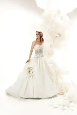 $72081.webp