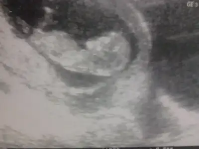 $2014-02-12 18.18.41.webp