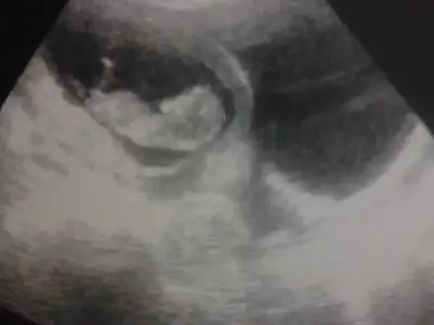 $2014-02-12 18.19.02.webp