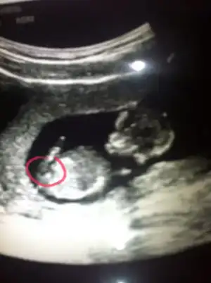 $2014-02-16 01.32.36.webp