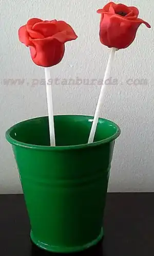 $cake-pops-gÃ¼ller.webp