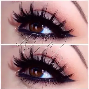 $44cc4a29241809442c7d1ea4ff454d5d.webp