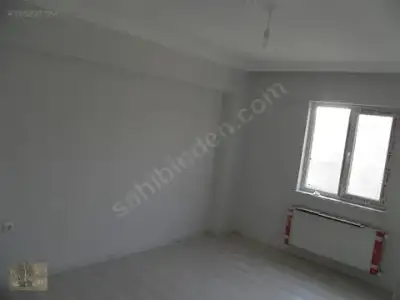 $155227784ic3.webp