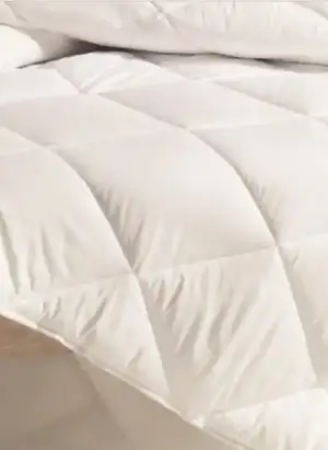 $[img][5][1][900x1234].webp