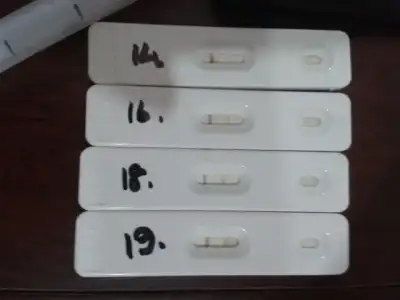 $2014-02-27 22.28.28.webp