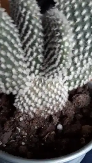 $2014-02-27 17.04.38.webp